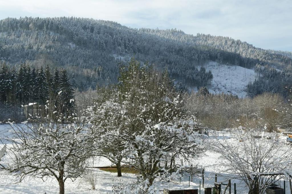 Chez Vovone 3 Etoiles Clevacances Saulxures-sur-Moselotte Exterior foto