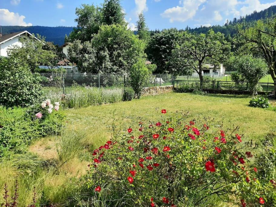 Chez Vovone 3 Etoiles Clevacances Saulxures-sur-Moselotte Exterior foto