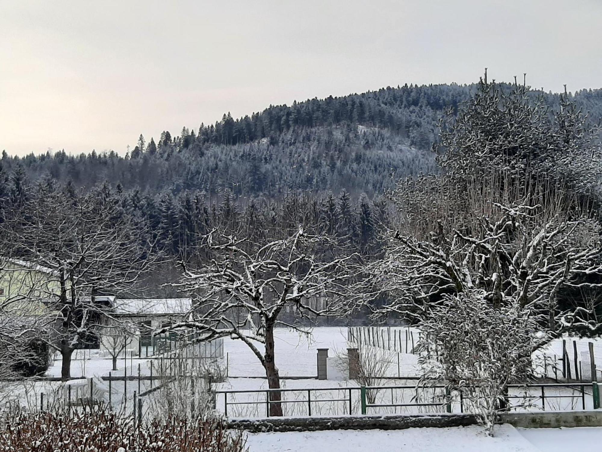 Chez Vovone 3 Etoiles Clevacances Saulxures-sur-Moselotte Exterior foto