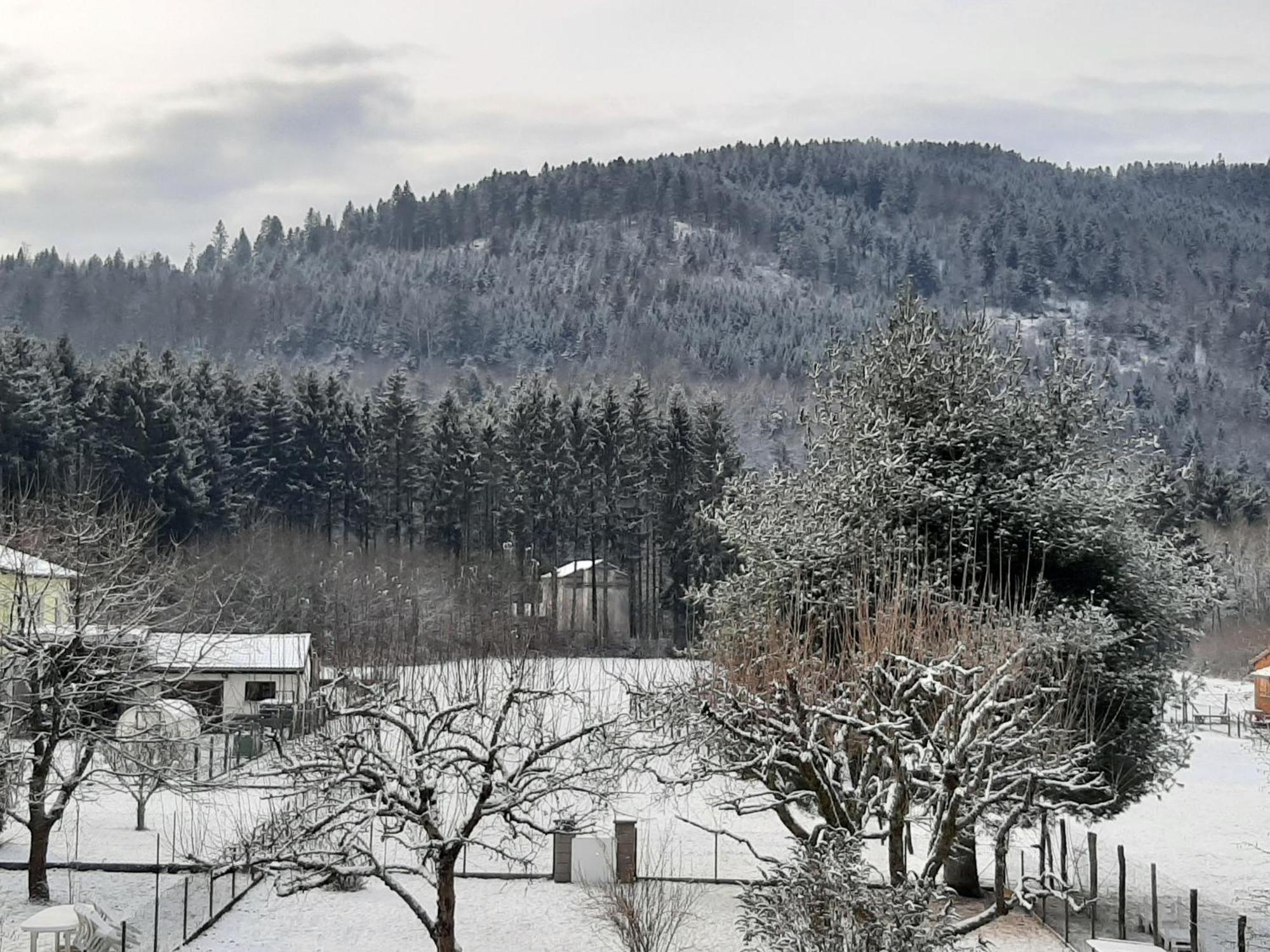 Chez Vovone 3 Etoiles Clevacances Saulxures-sur-Moselotte Exterior foto