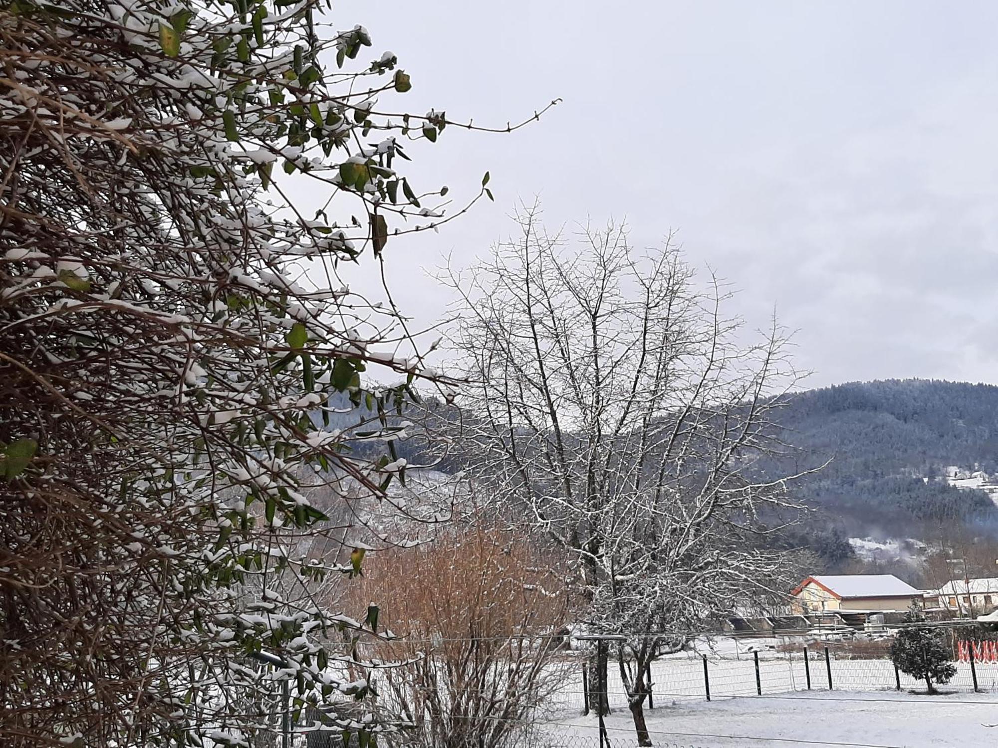 Chez Vovone 3 Etoiles Clevacances Saulxures-sur-Moselotte Exterior foto