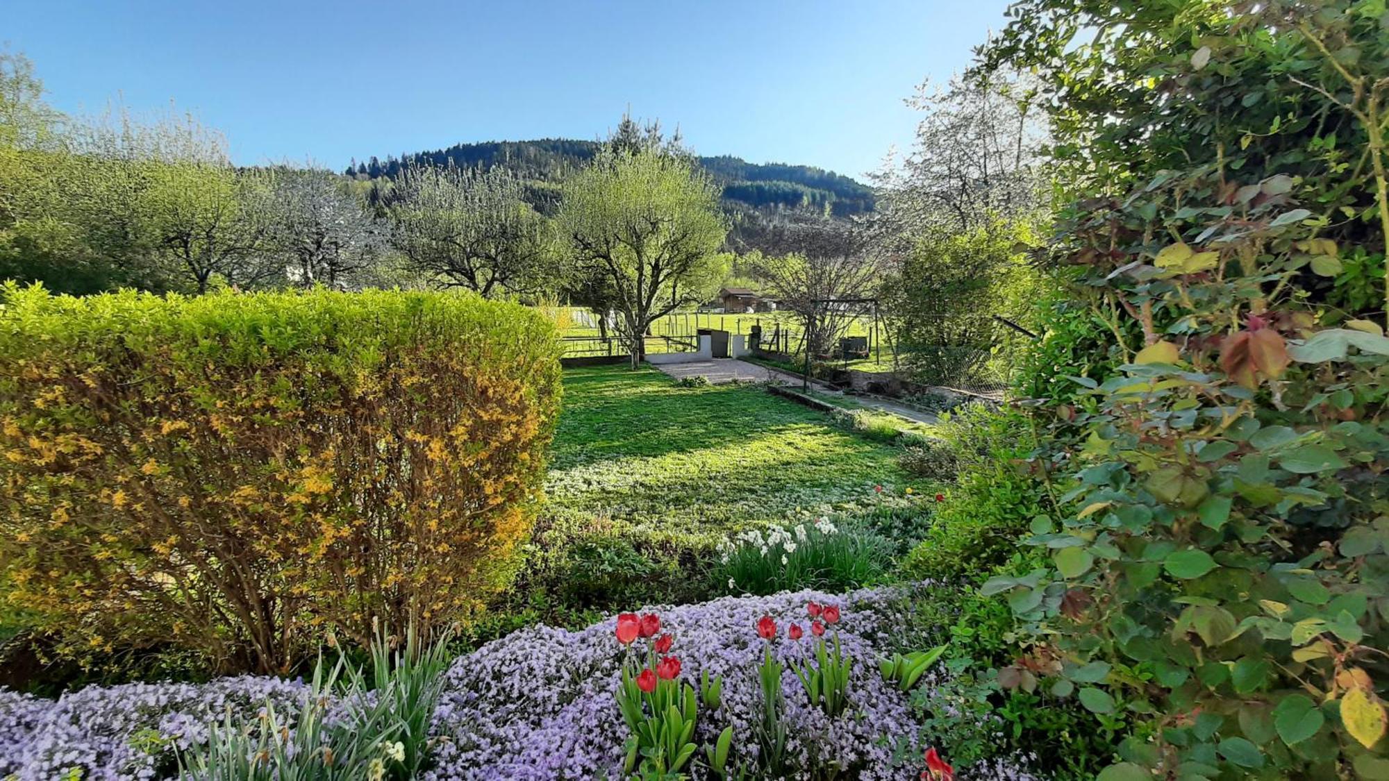 Chez Vovone 3 Etoiles Clevacances Saulxures-sur-Moselotte Exterior foto