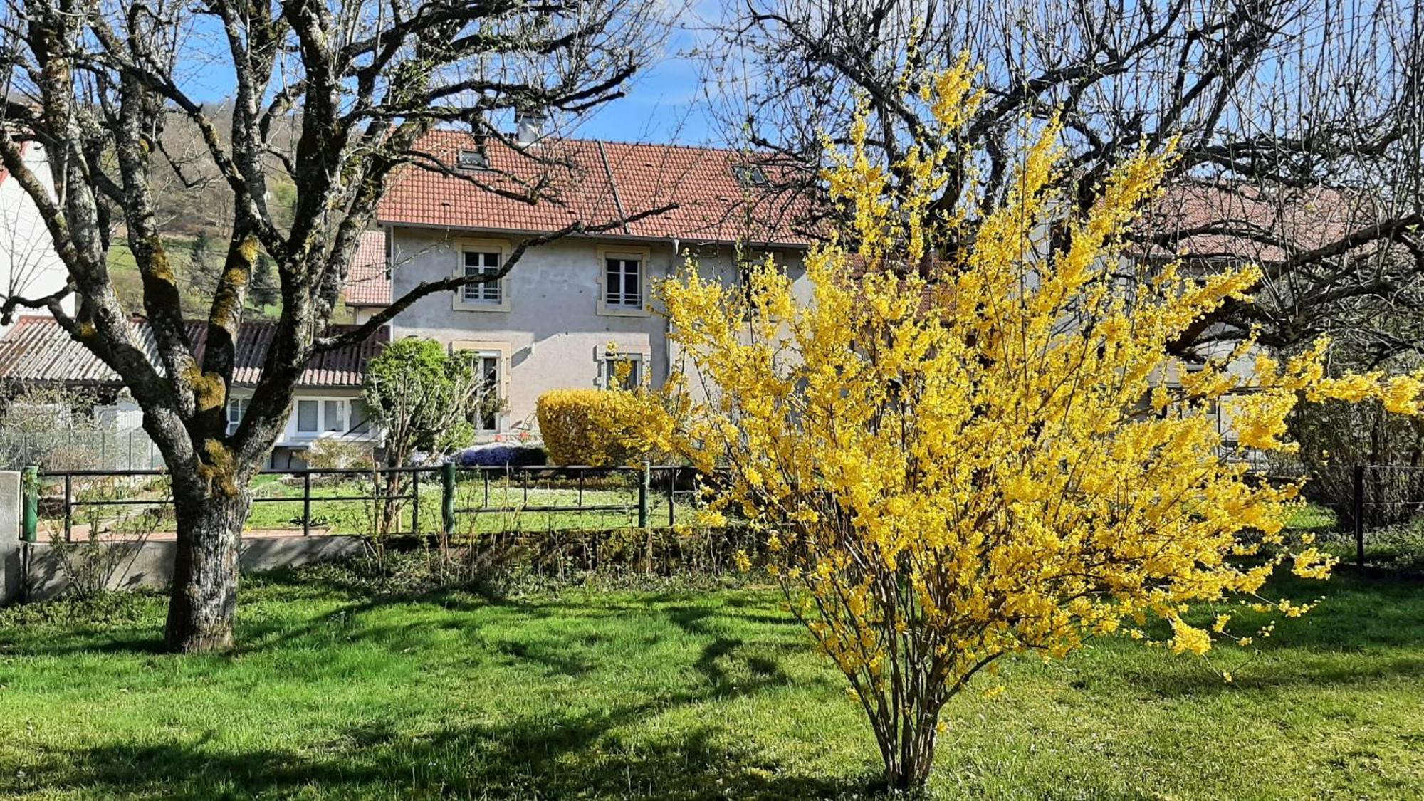 Chez Vovone 3 Etoiles Clevacances Saulxures-sur-Moselotte Exterior foto