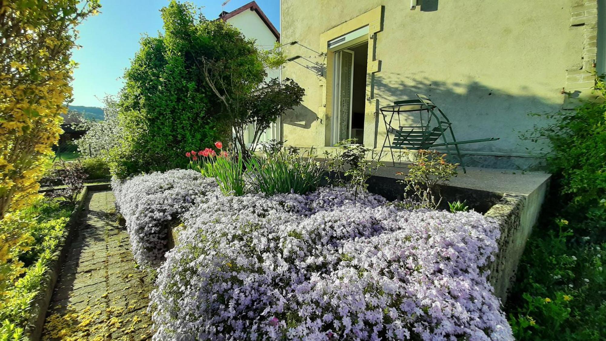 Chez Vovone 3 Etoiles Clevacances Saulxures-sur-Moselotte Exterior foto