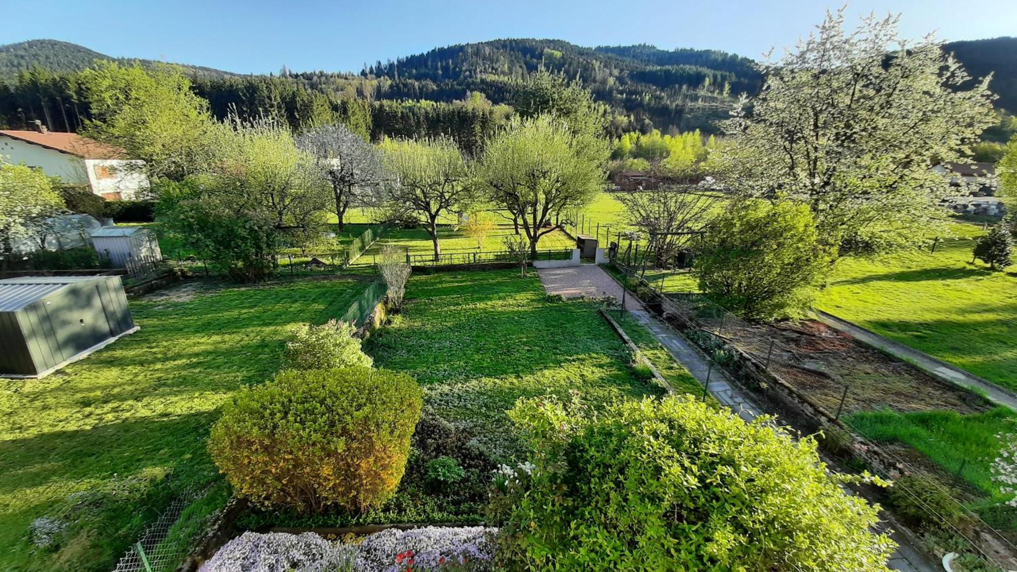 Chez Vovone 3 Etoiles Clevacances Saulxures-sur-Moselotte Exterior foto